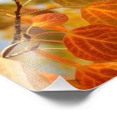Impression Photo Feuilles en orange (Coin)