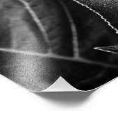 Impression Photo feuilles étant (Coin)