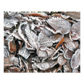 IMPRESSION PHOTO FEUILLES HIVER (Devant)