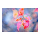 Impression Photo Feuilles impressionnants de Cotonou (Devant)