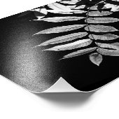 Impression Photo Feuilles noix en noir et blanc (Coin)