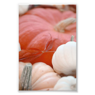Impression Photo Feuilles Rouges D'Automne Sur Citrouilles Orange E