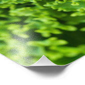 Impression Photo Feuilles verts, Arrière - plan feuille, feuille, f (Coin)