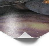 Impression Photo Figes (Coin)