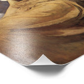 Impression Photo Figure ailée Abbott Handerson Thayer (Coin)