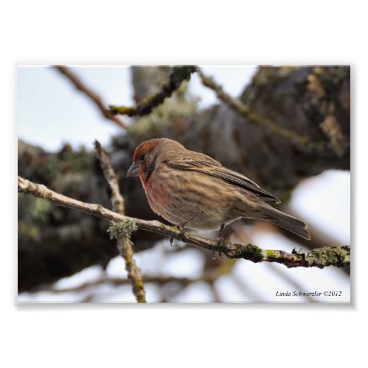 Impression Photo Finition rouge 5X7 (Devant)