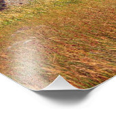 Impression Photo Finlaggan, Écosse (Coin)