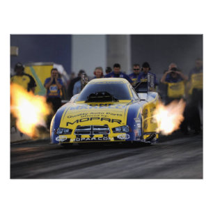 Impression Photo Flamant Funny Voiture Drag Racer Sports