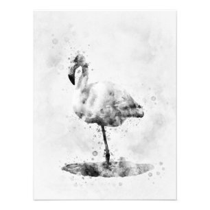 Impression Photo Flamant rose Aquarelle noir et blanc 01