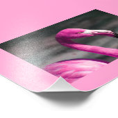 Impression Photo Flamant Rose Posant Joliment (Coin)