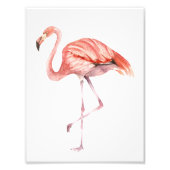 Impression Photo Flamant rose rose (Devant)