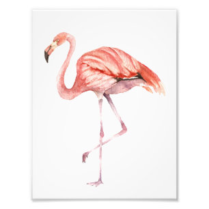 Impression Photo Flamant rose rose
