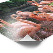 Impression Photo Flamant rose rose tropical (Coin)