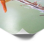 Impression Photo Flame Skimmer Dragonfly sur Agave (Coin)