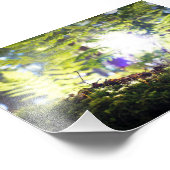 Impression Photo Flare solaire de la mousse et de la fougère (Coin)