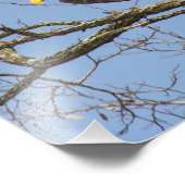 Impression Photo Flash Bald Eagle (Coin)