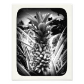 Impression Photo Flash D'Inspiration (Devant)