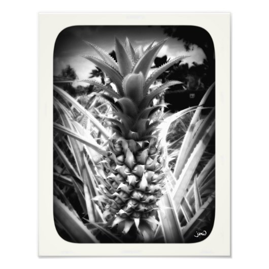 Impression Photo Flash D'Inspiration (Devant)