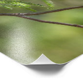 Impression Photo Flashy Homme Vermillion Flycatcher (Coin)