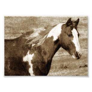 Impression Photo Flashy Tobinano Mare Sepia