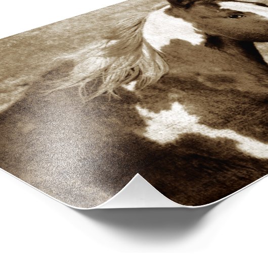 Impression Photo Flashy Tobinano Mare Sepia (Coin)