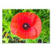 Impression Photo Fleur (Devant)