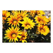 Impression Photo Fleur (Devant)