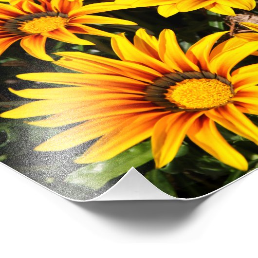 Impression Photo Fleur (Coin)