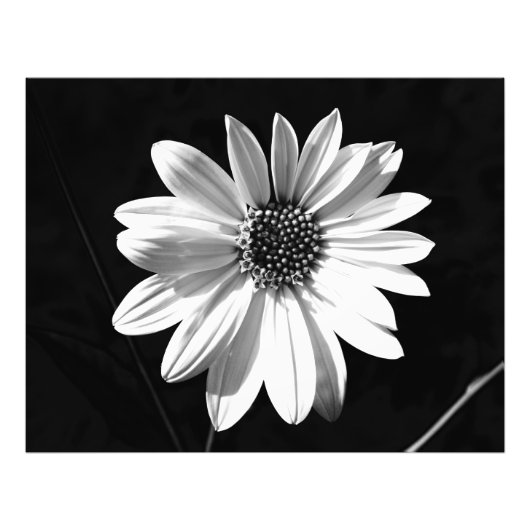 Impression Photo fleur (Devant)