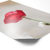 Impression Photo Fleur à Popphe rouge unique en été (Coin)