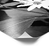 Impression Photo Fleur B&W (Coin)