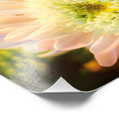 Impression Photo Fleur blanche (Coin)