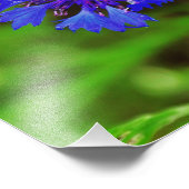 Impression Photo Fleur bleue (Coin)