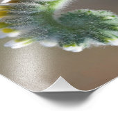 Impression Photo fleur bouclée du printemps vert (Coin)