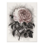 Impression Photo Fleur bouillante (Devant)