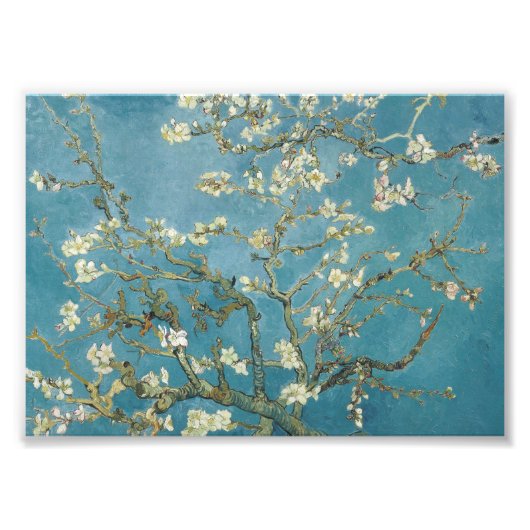 Impression Photo Fleur d'amandes de Vincent van Gogh (1890) (Devant)