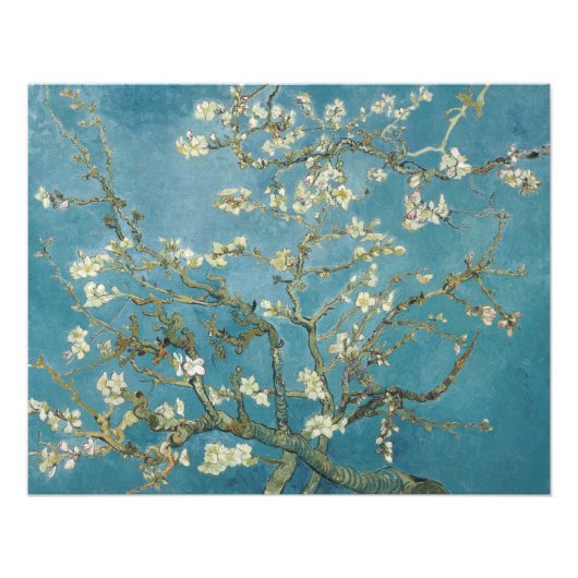 Impression Photo Fleur d'amandes de Vincent van Gogh (1890) (Devant)