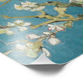 Impression Photo Fleur d'amandes de Vincent van Gogh (1890) (Coin)