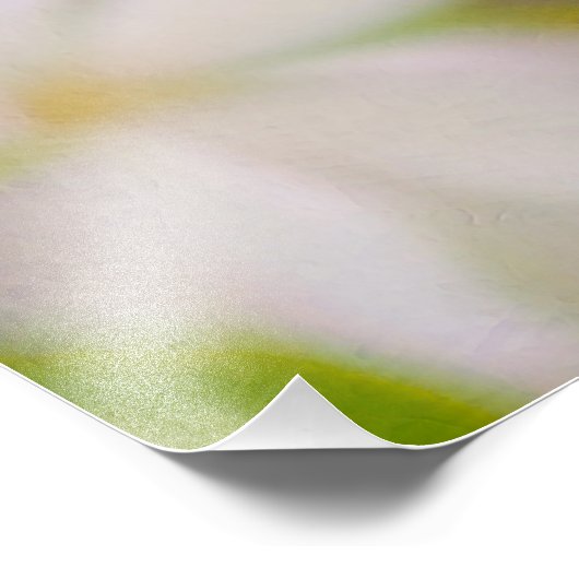 Impression Photo Fleur d'Apple - Beauté (Coin)