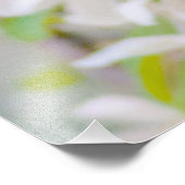 Impression Photo Fleur d'Apple - Beauté (Coin)