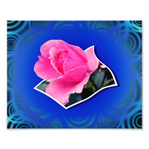 Impression Photo Fleur de bourgeon de rose rose hors limites Art 8x