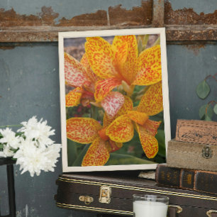 Impression Photo Fleur de Canna Lily jaune avec taches rouges