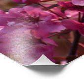 Impression Photo Fleur de cerise (Coin)