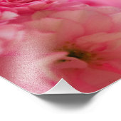 Impression Photo Fleur de cerise (Coin)