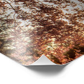 Impression Photo Fleur de cerisiers en pleurs, Ohio (Coin)