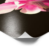 Impression Photo Fleur de colonne rose Fermer 8X10 (Coin)