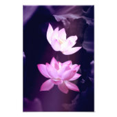 Impression Photo Fleur de Lotus en fleurs (Devant)