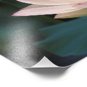 Impression Photo Fleur de Lotus en fleurs, Chine (Coin)