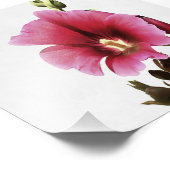 Impression Photo Fleur de Malva rose paradisiaque (Coin)