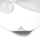 Impression Photo Fleur de marguerite blanche Arrière - plan de marg (Coin)